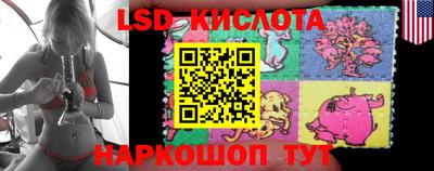 Альфа ПВП Будённовск
