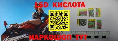Альфа ПВП Будённовск